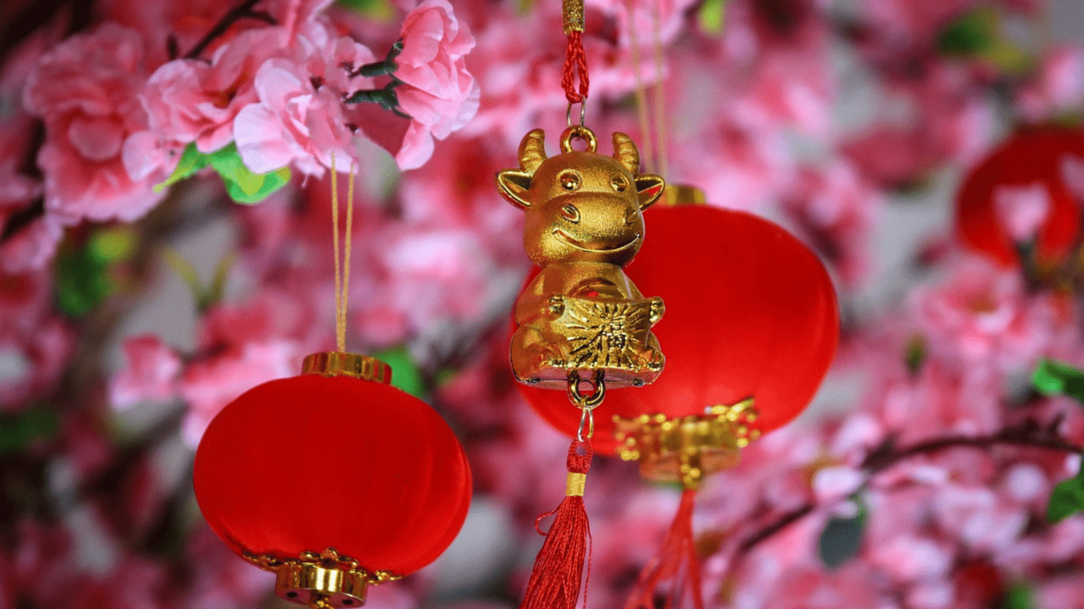 Chinese Wedding Decorations Singapore | 8 Asthas