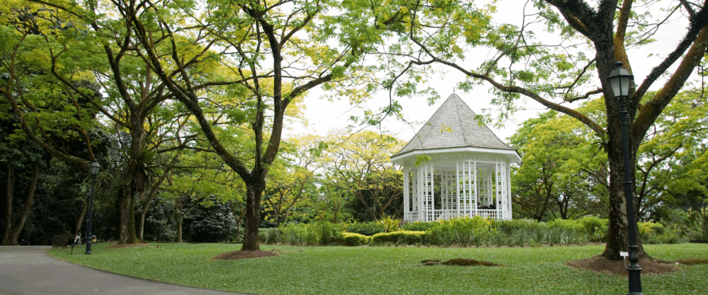 Pre-Wedding Photoshoot at Botanic Garden