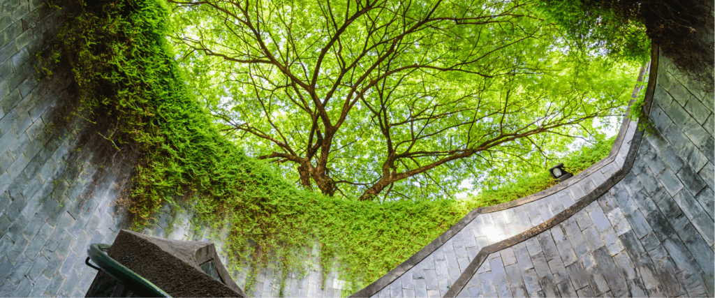 Pre-Wedding Shoot at Fort Canning Park