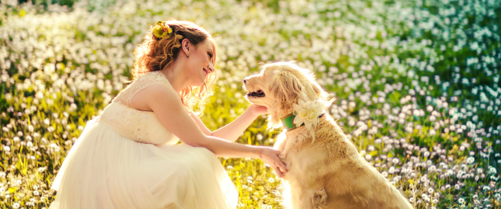 Pet-Inclusive Wedding Venues in Singapore