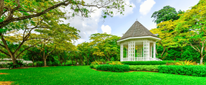 Best Romantic Photoshoot Locations in Botanic Gardens